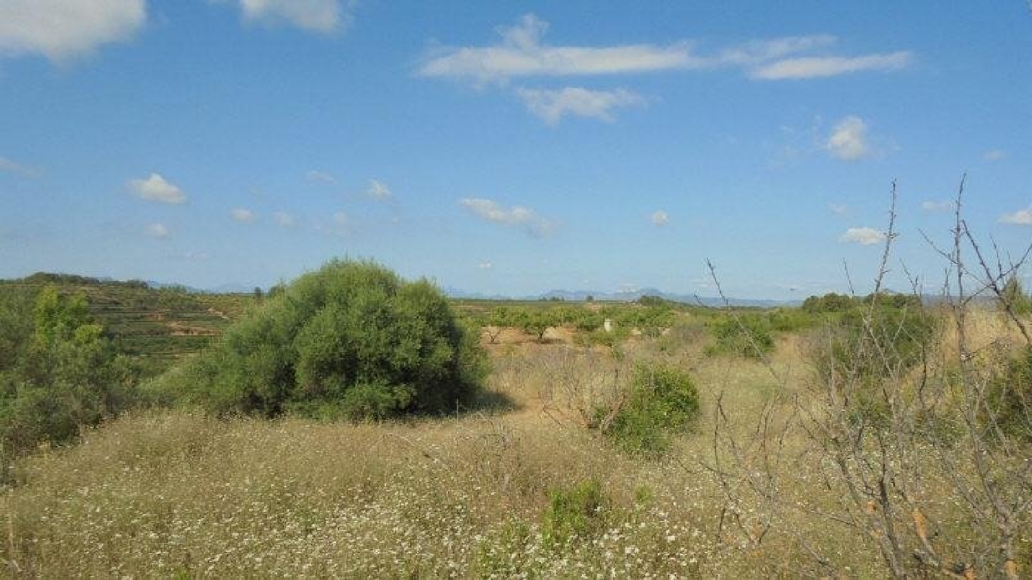  en venta finca rústica Els Guiamets Priorat 5
