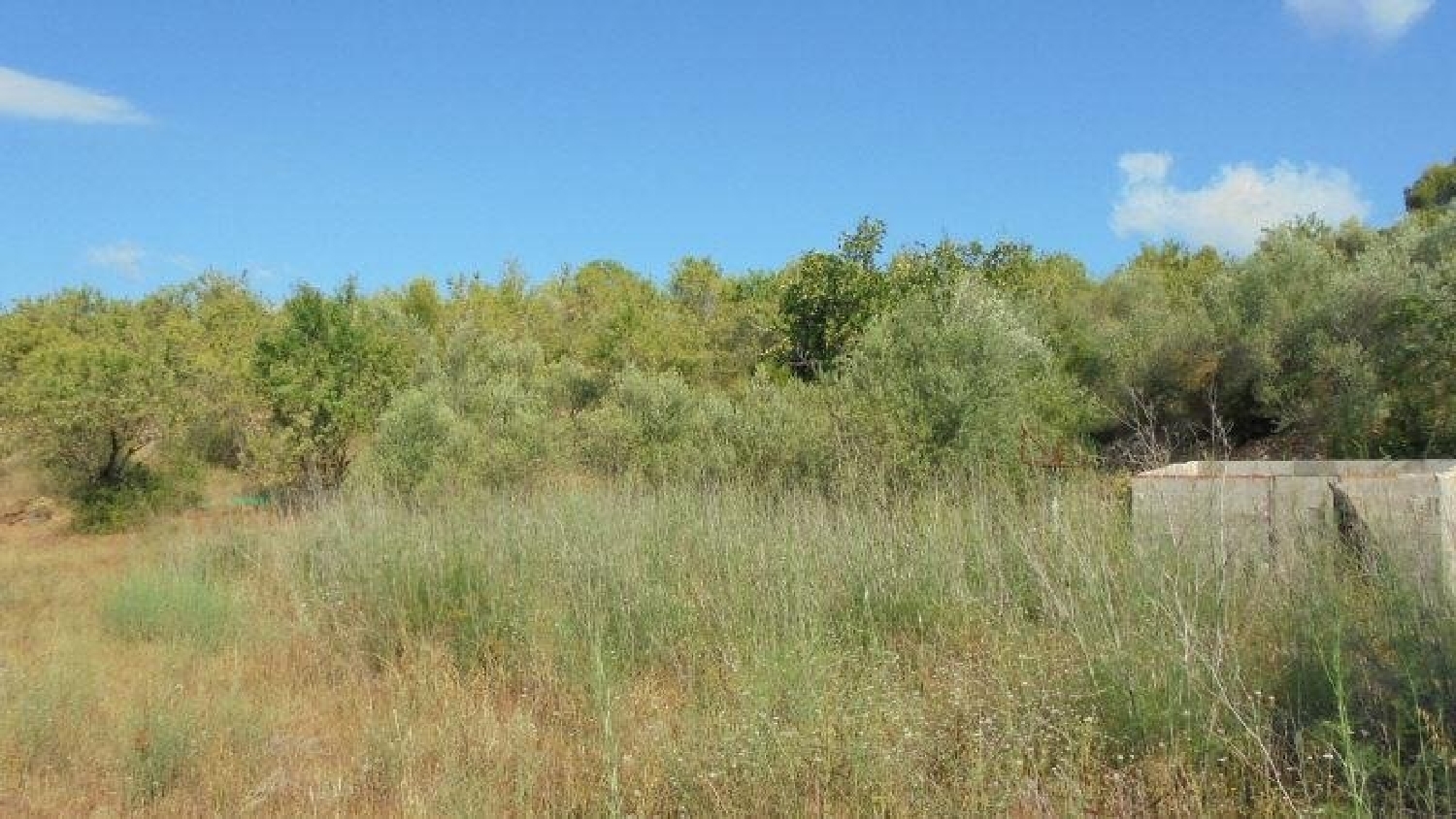  en venta finca rústica Els Guiamets Priorat 6