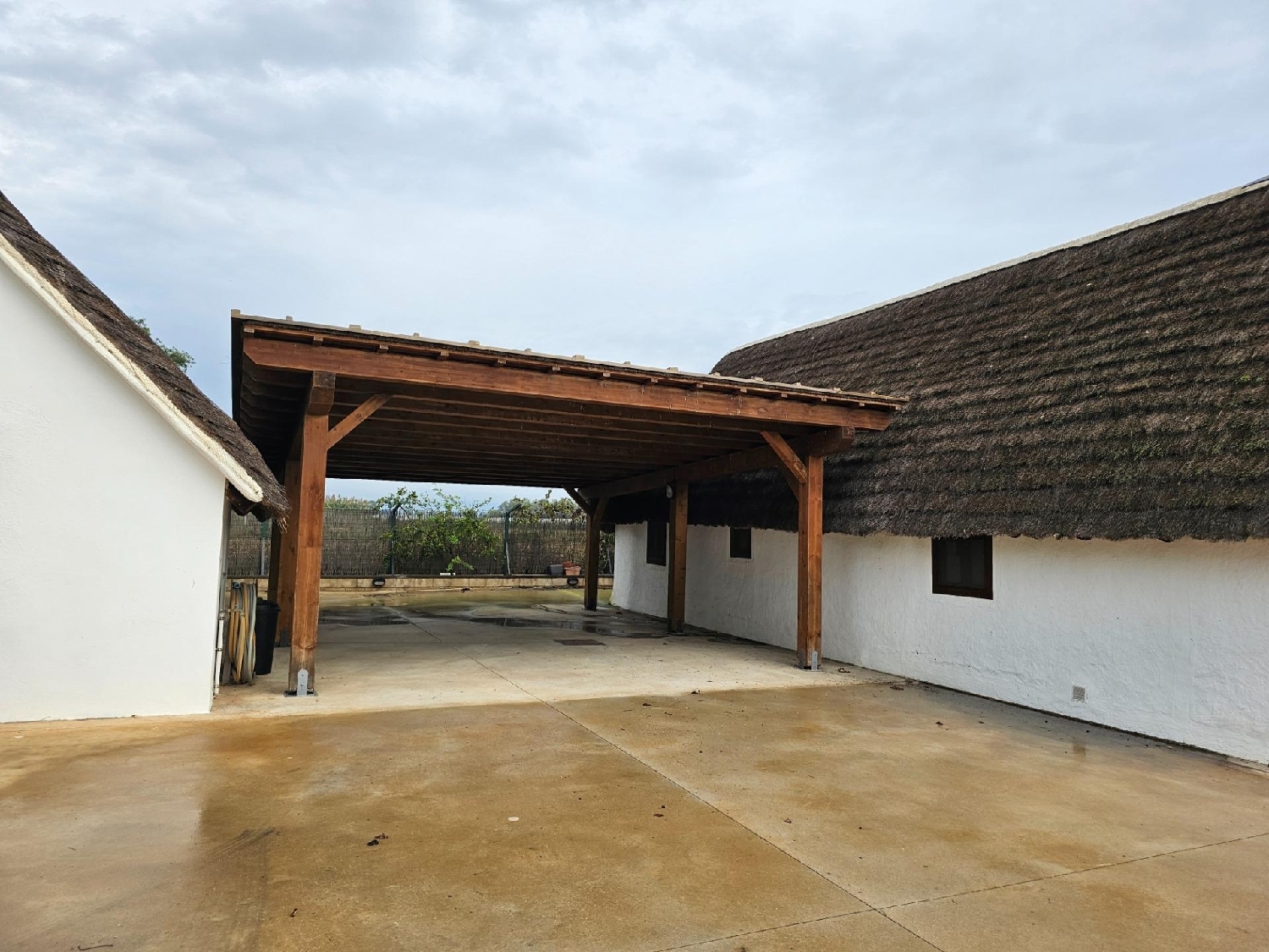 te koop boerderij Eucaliptus Montsià 3
