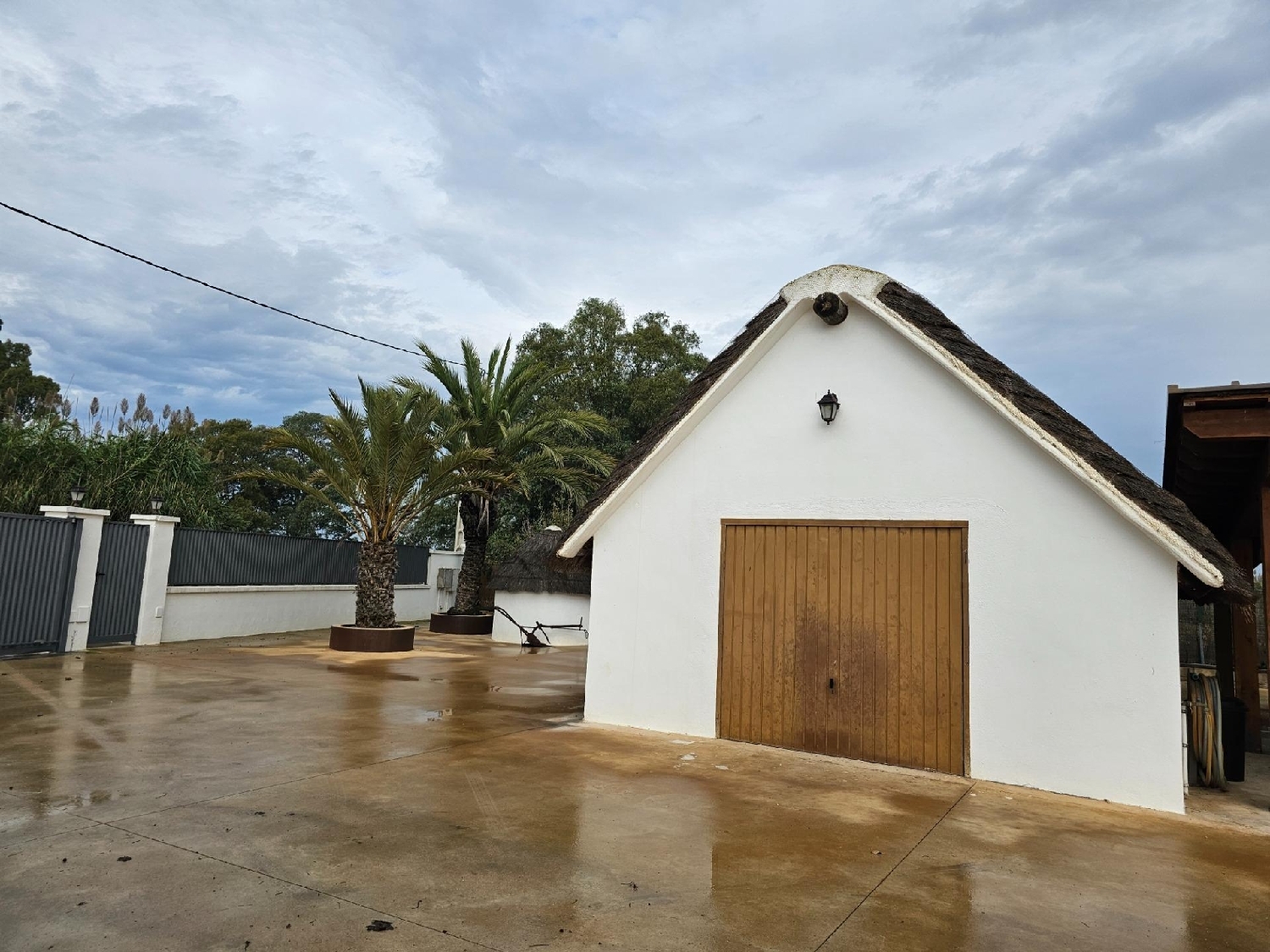  te koop boerderij Eucaliptus Montsià 5