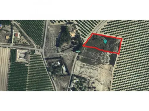 Finca Señorita Vega Media Del Segura hus på landet foto 6164116