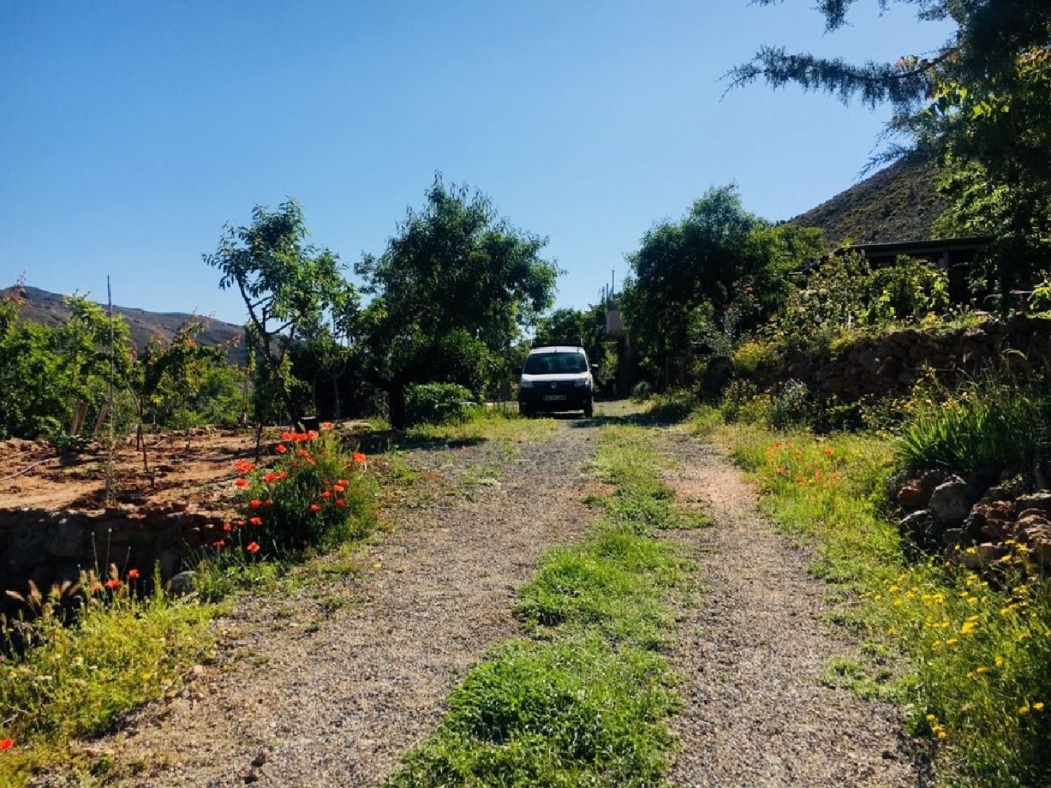 till salu hus på landet Fondón Alpujarra Almeriense 3