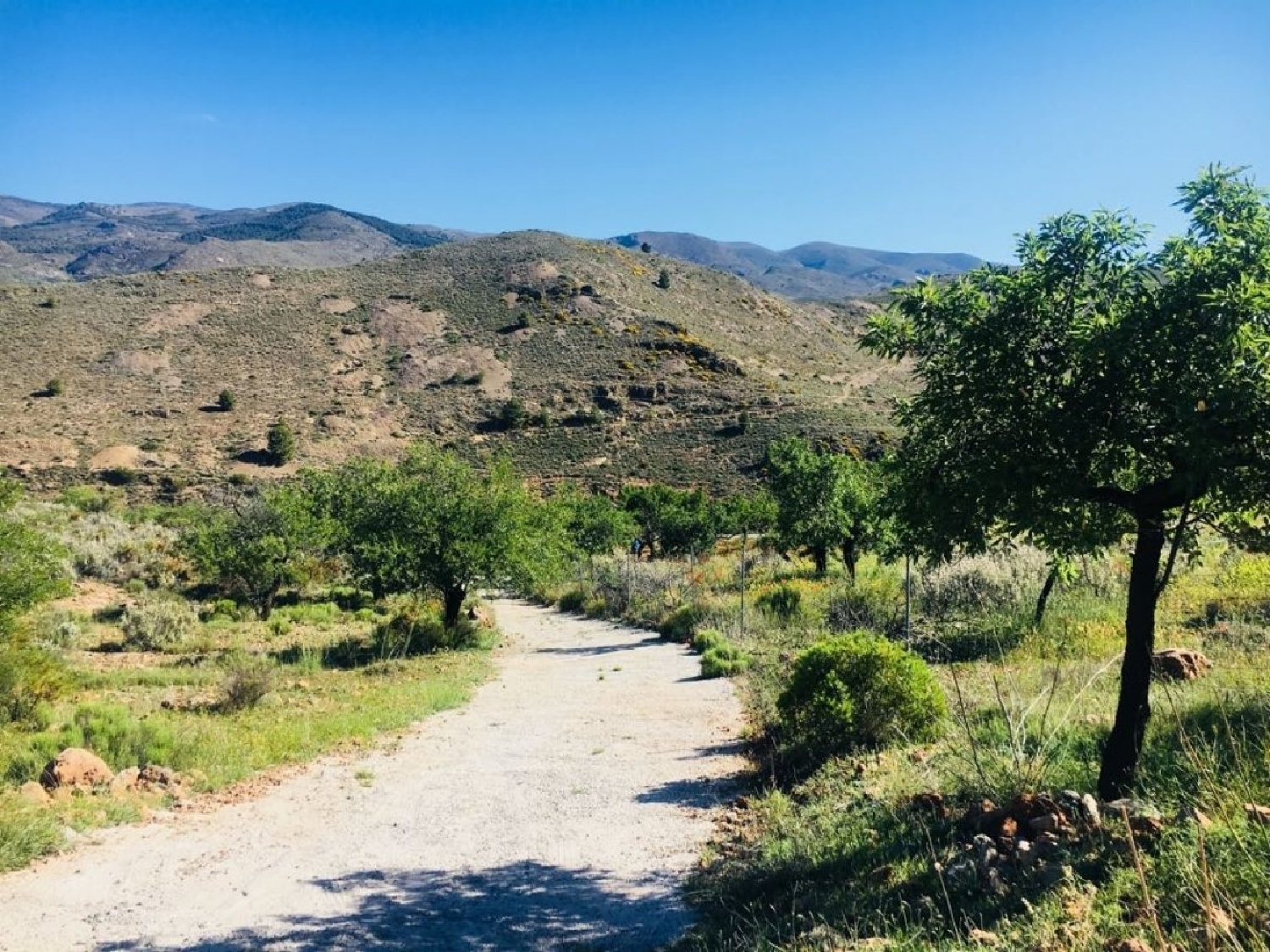  till salu hus på landet Fondón Alpujarra Almeriense 1