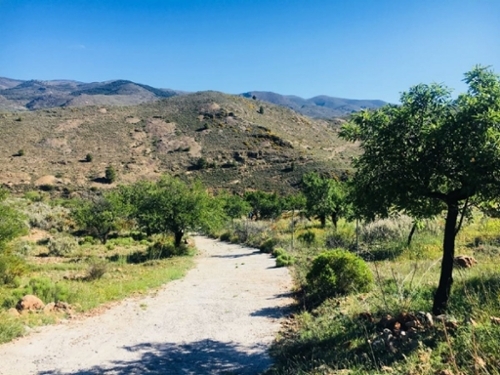 Fondón Alpujarra Almeriense hus på landet foto 6236398