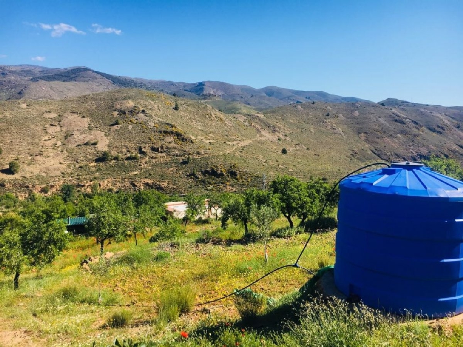  till salu hus på landet Fondón Alpujarra Almeriense 6