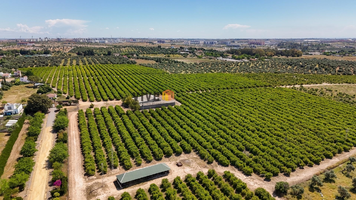 till salu hus på landet Fuente Del Rey Urb. Metropolitana De Sevilla 3