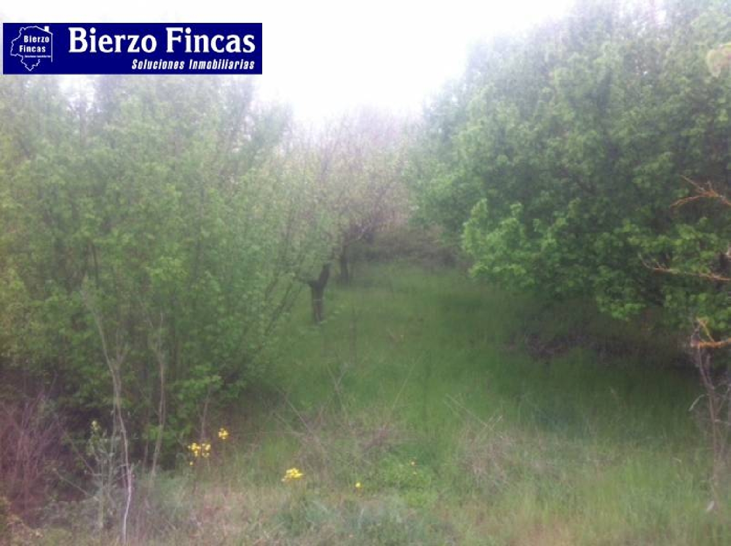 till salu hus på landet Fuentes Nuevas Bierzo (El) 3