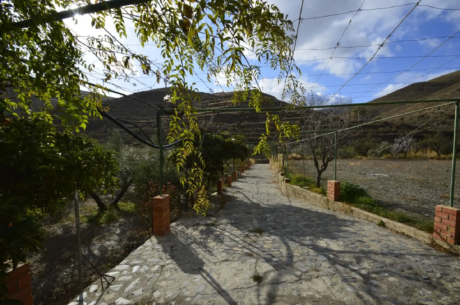 till salu hus på landet Gérgal Filabres-Tabernas 2