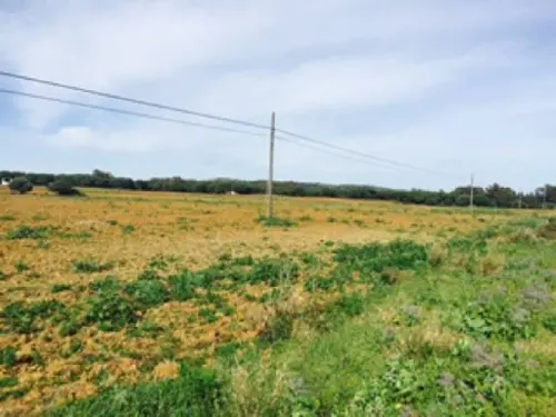 Llano De Las Maravillas Bahía De Cádiz hus på landet foto 6189153