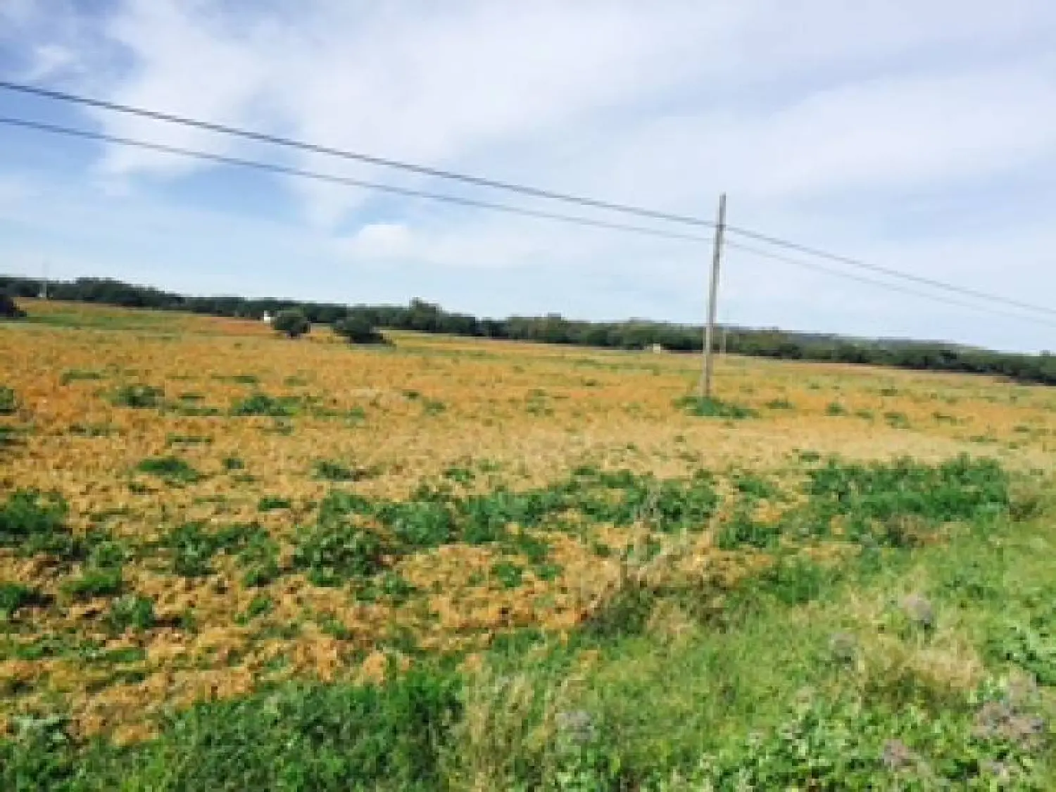 till salu hus på landet Llano De Las Maravillas Bahía De Cádiz 3