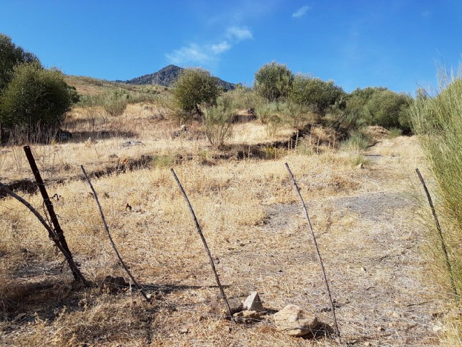  till salu hus på landet Grazalema Sierra De Cádiz 4