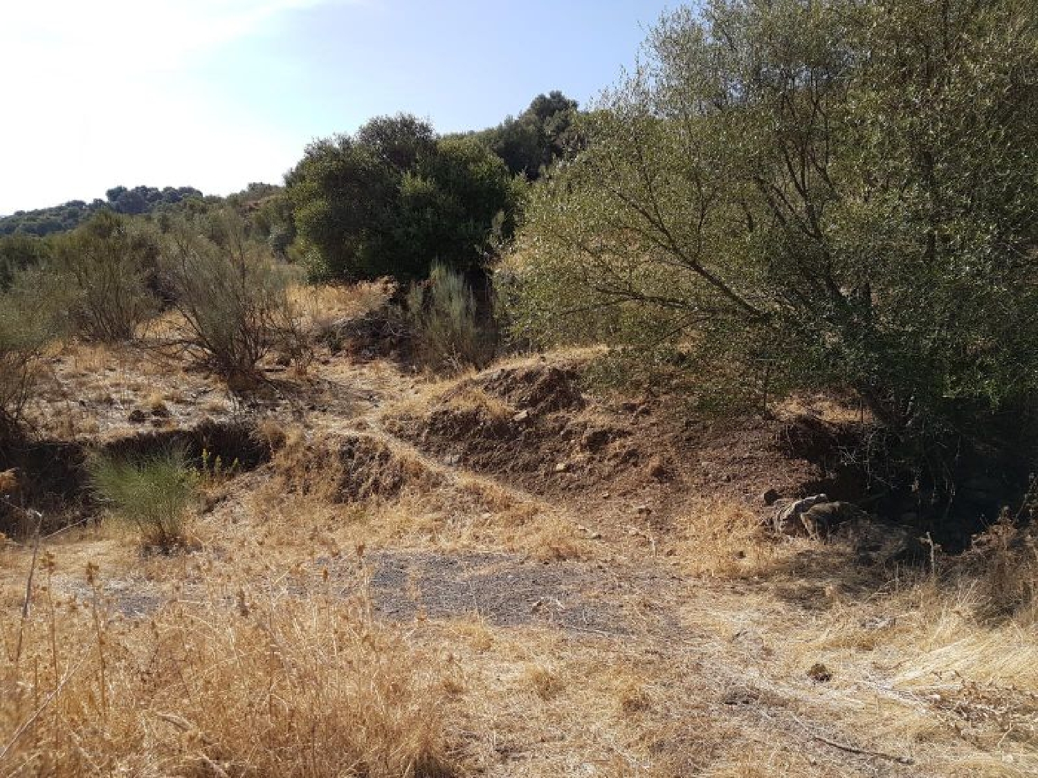  till salu hus på landet Grazalema Sierra De Cádiz 8