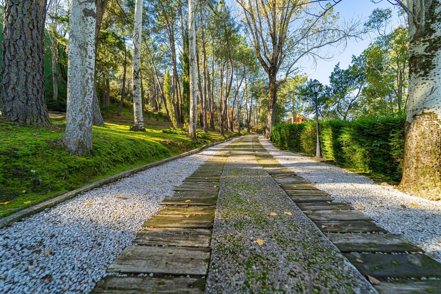  till salu hus på landet Guadarrama Cuenca Del Guadarrama 7