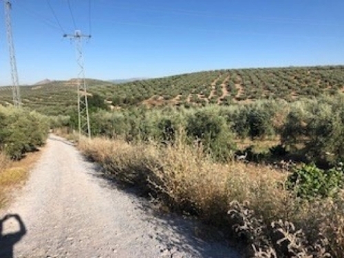 Güevéjar Vega De Granada hus på landet foto 6254666