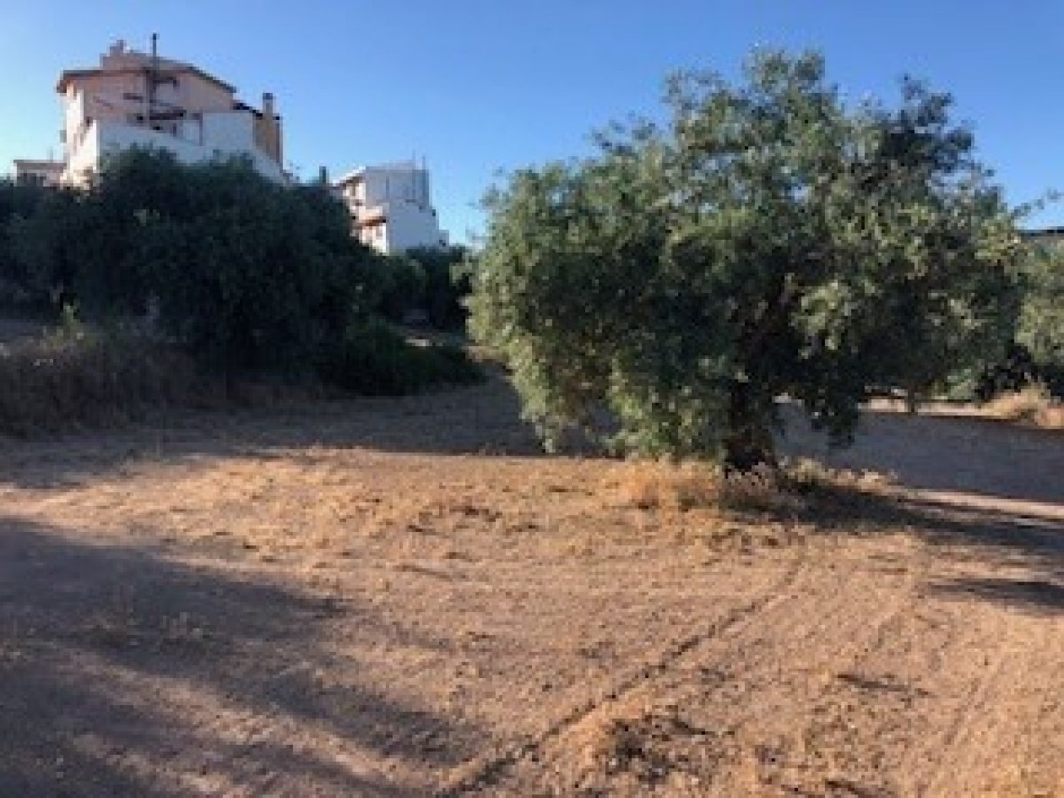  te koop boerderij Villanueva Mesía Loja 7