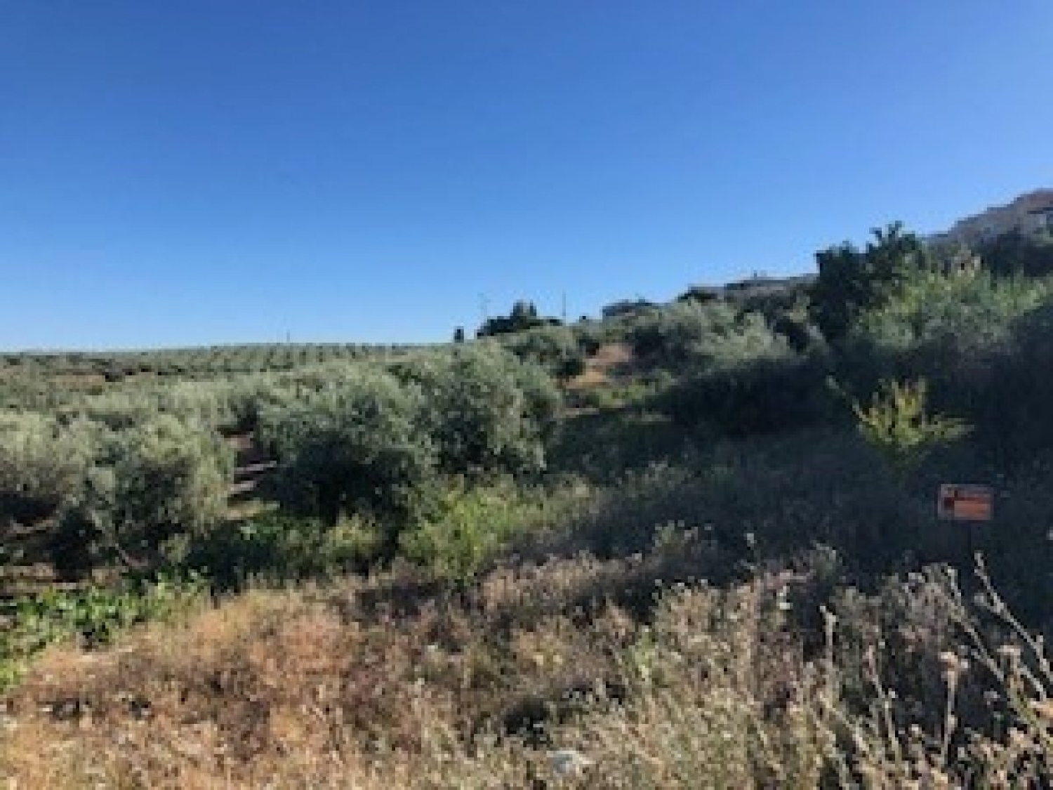 te koop boerderij Villanueva Mesía Loja 2