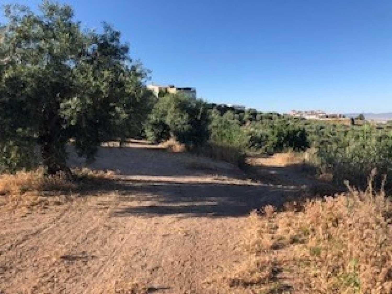  te koop boerderij Villanueva Mesía Loja 8