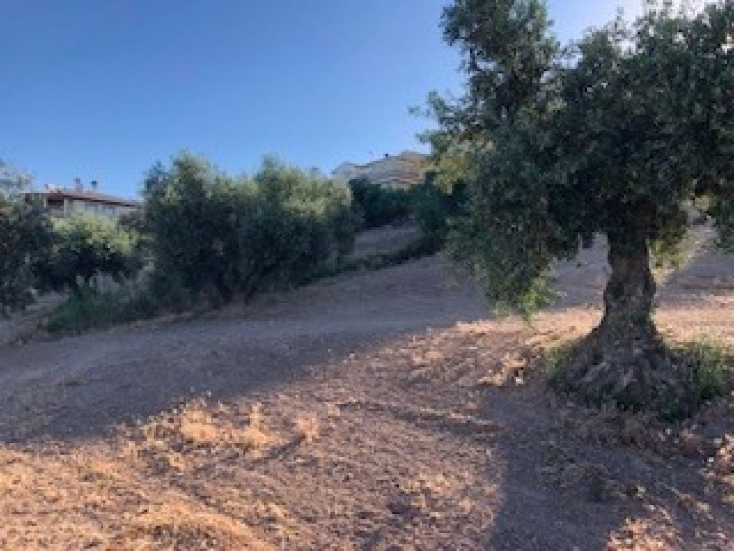  te koop boerderij Villanueva Mesía Loja 6