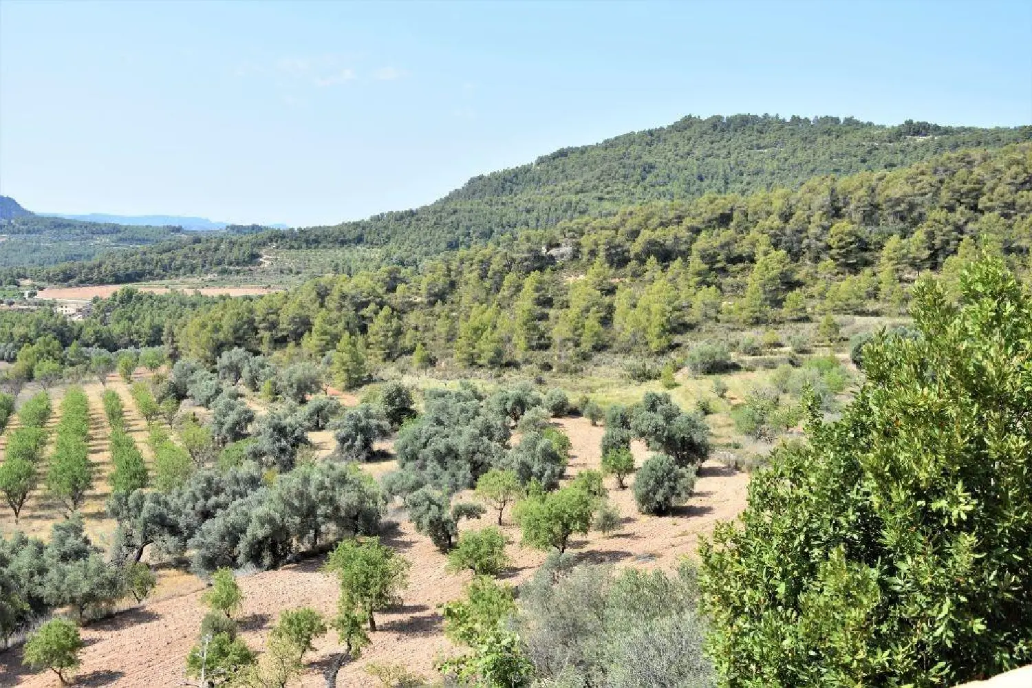  till salu hus på landet Horta De Sant Joan Terra Alta 7