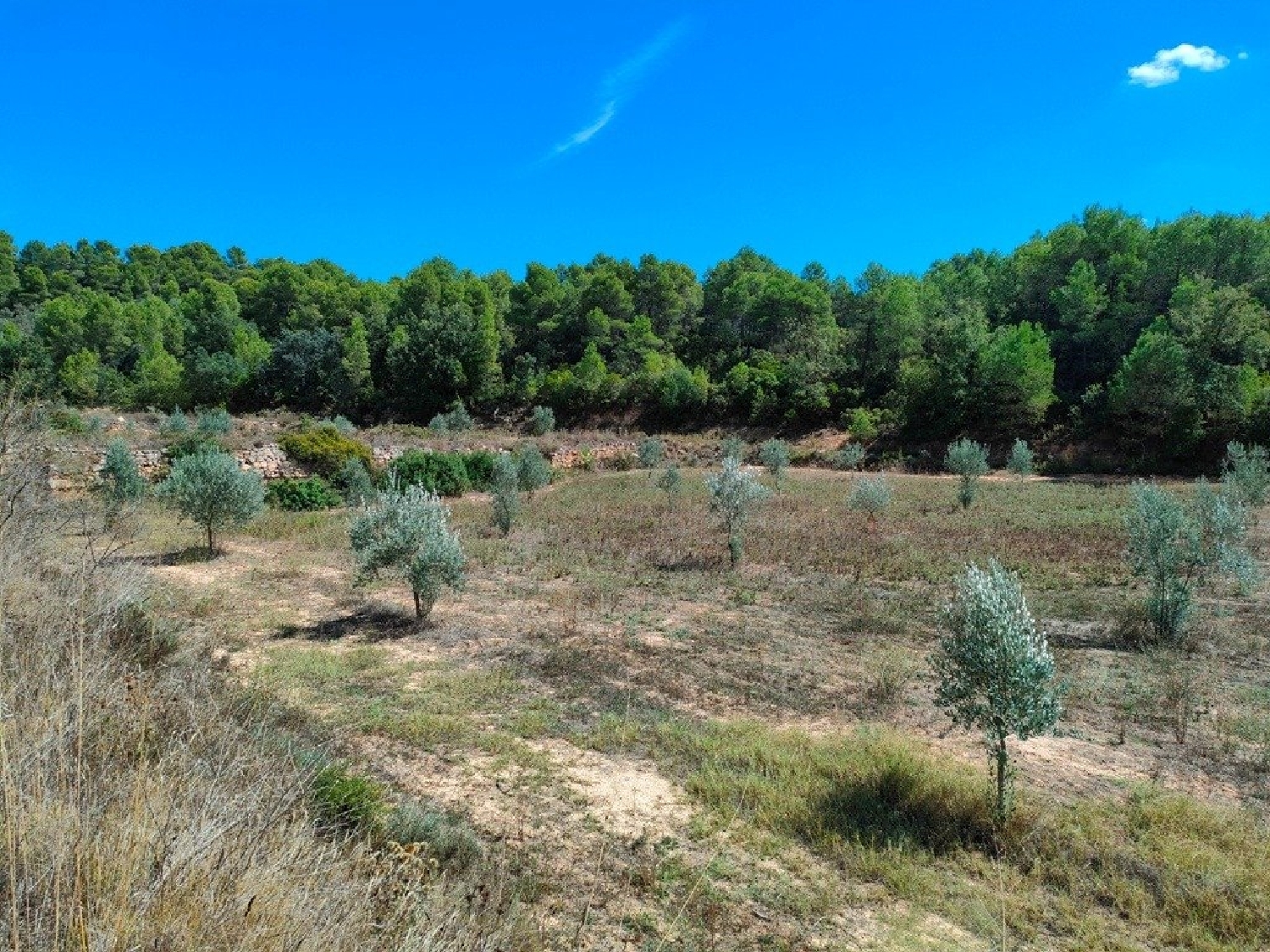  till salu hus på landet Horta De Sant Joan Terra Alta 3