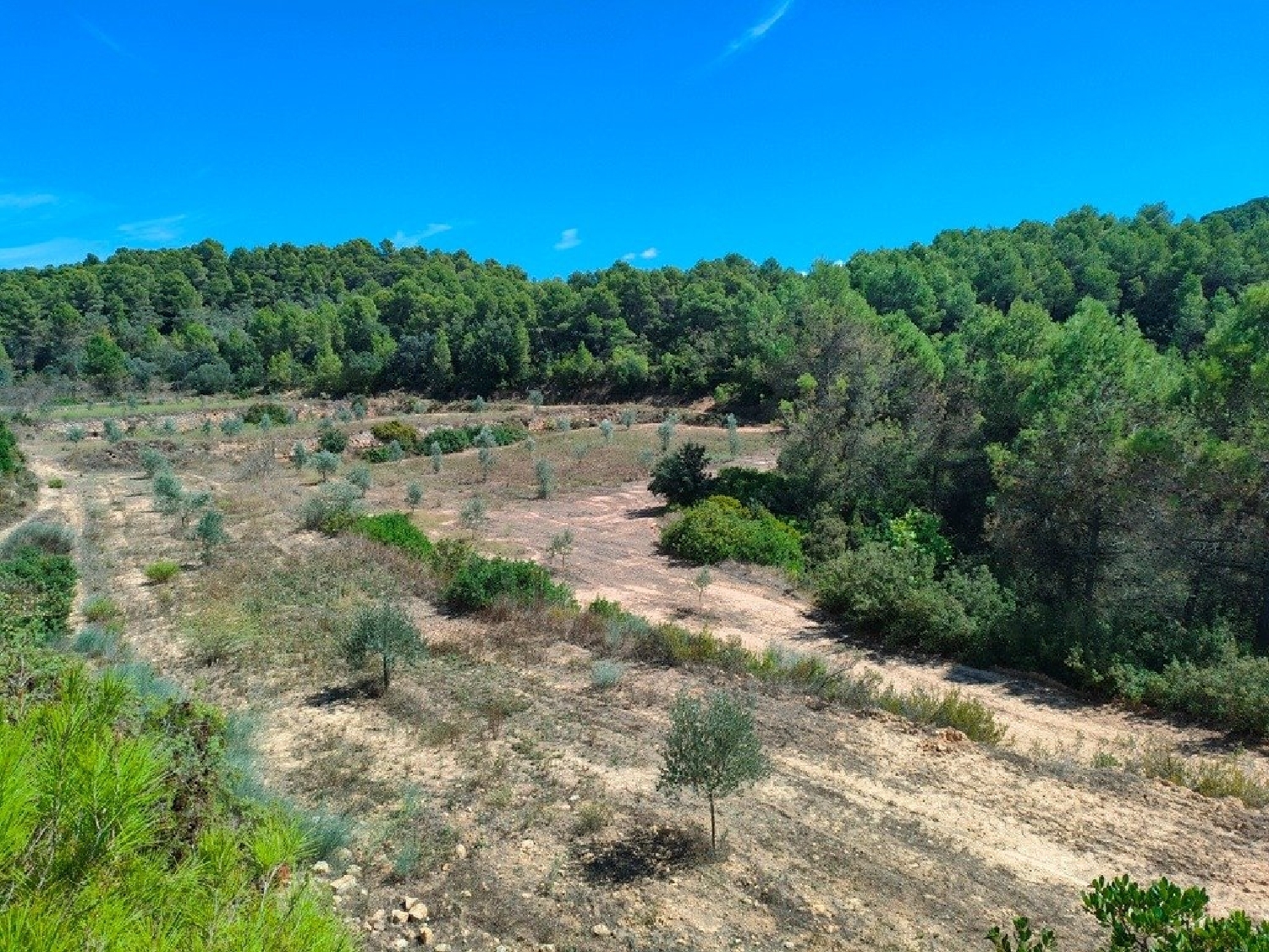  till salu hus på landet Horta De Sant Joan Terra Alta 2