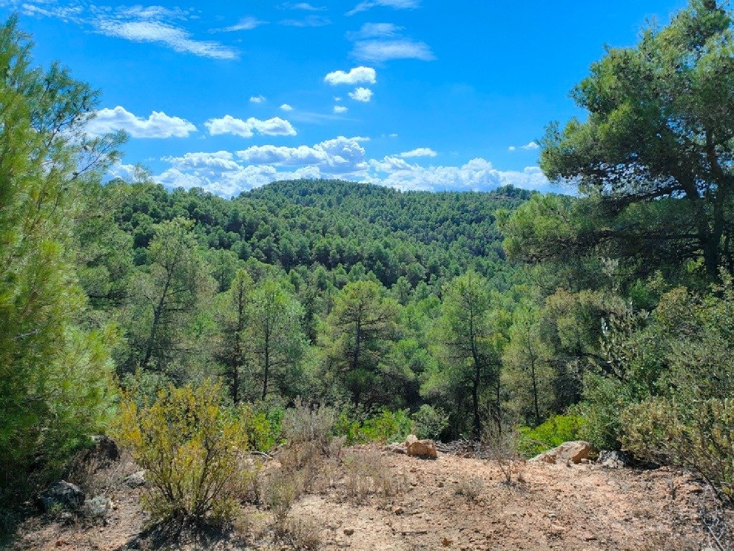  till salu hus på landet Horta De Sant Joan Terra Alta 5