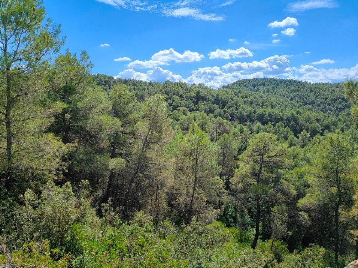  till salu hus på landet Horta De Sant Joan Terra Alta 8
