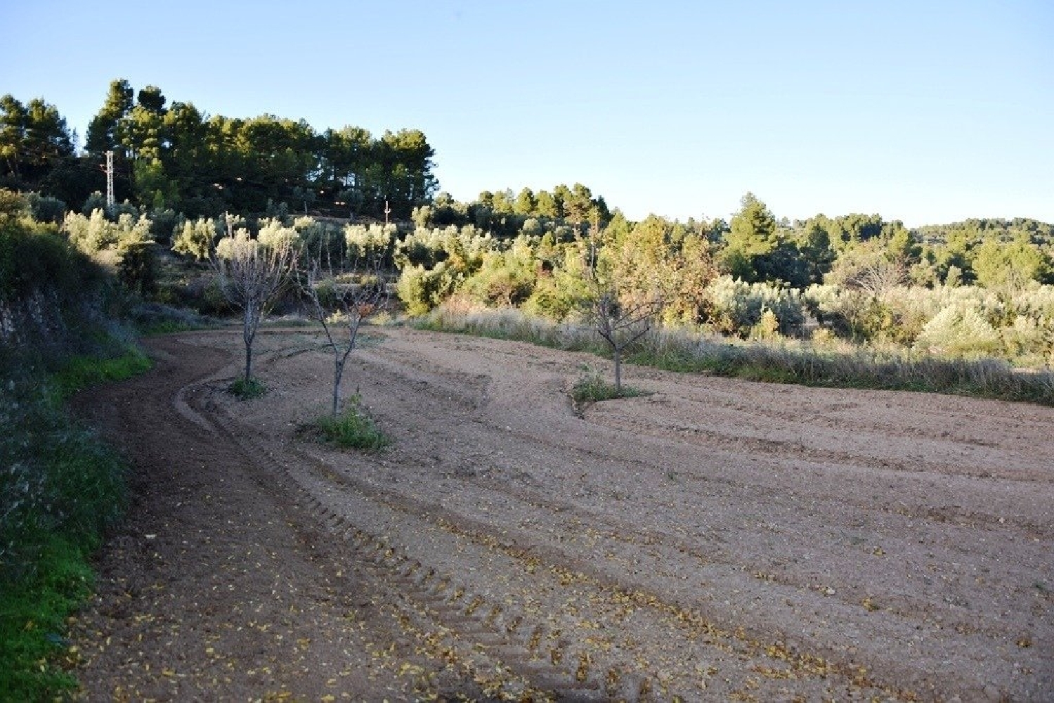  till salu hus på landet Horta De Sant Joan Terra Alta 2