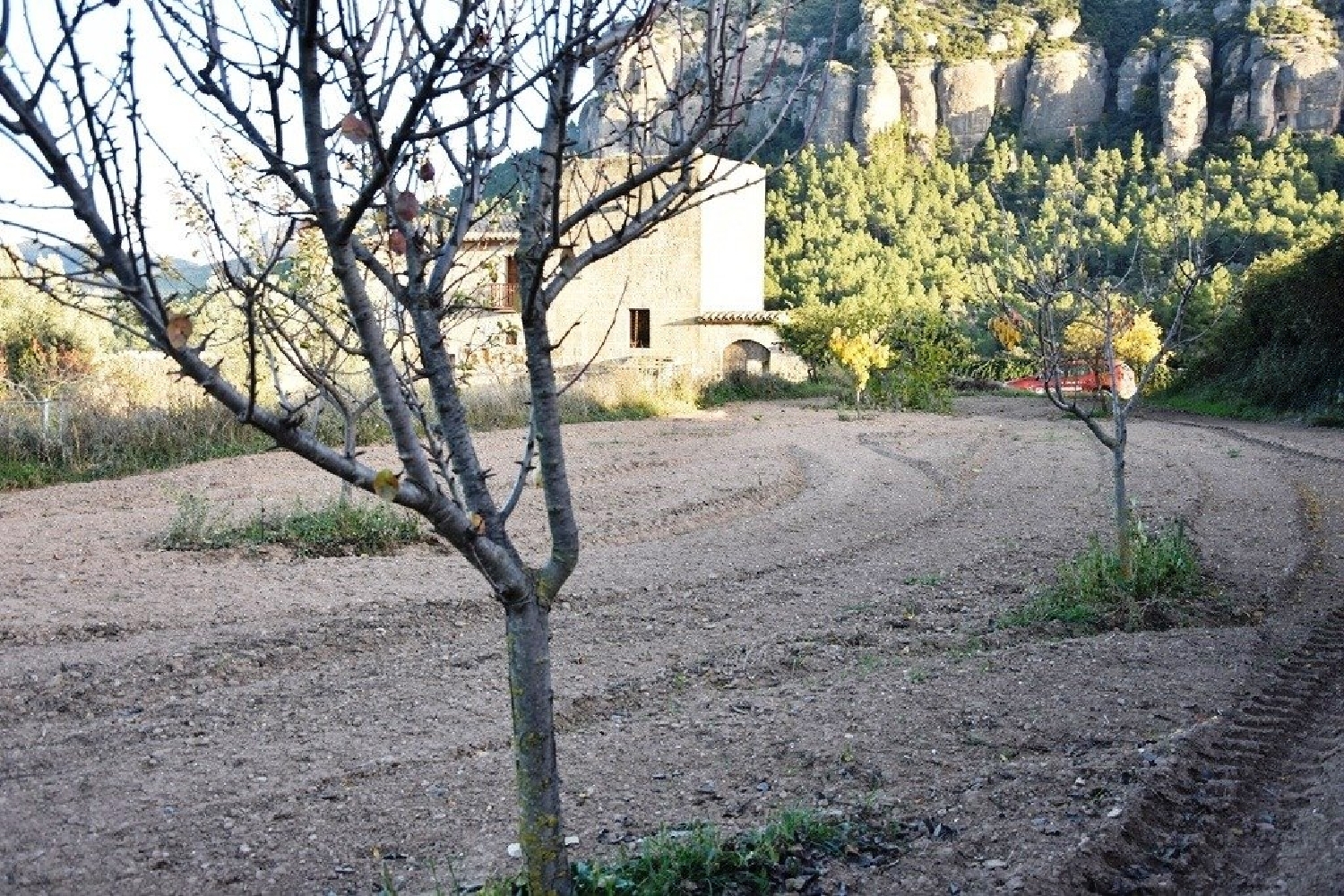  till salu hus på landet Horta De Sant Joan Terra Alta 4