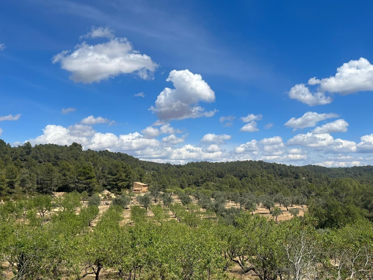  till salu hus på landet Horta De Sant Joan Terra Alta 7