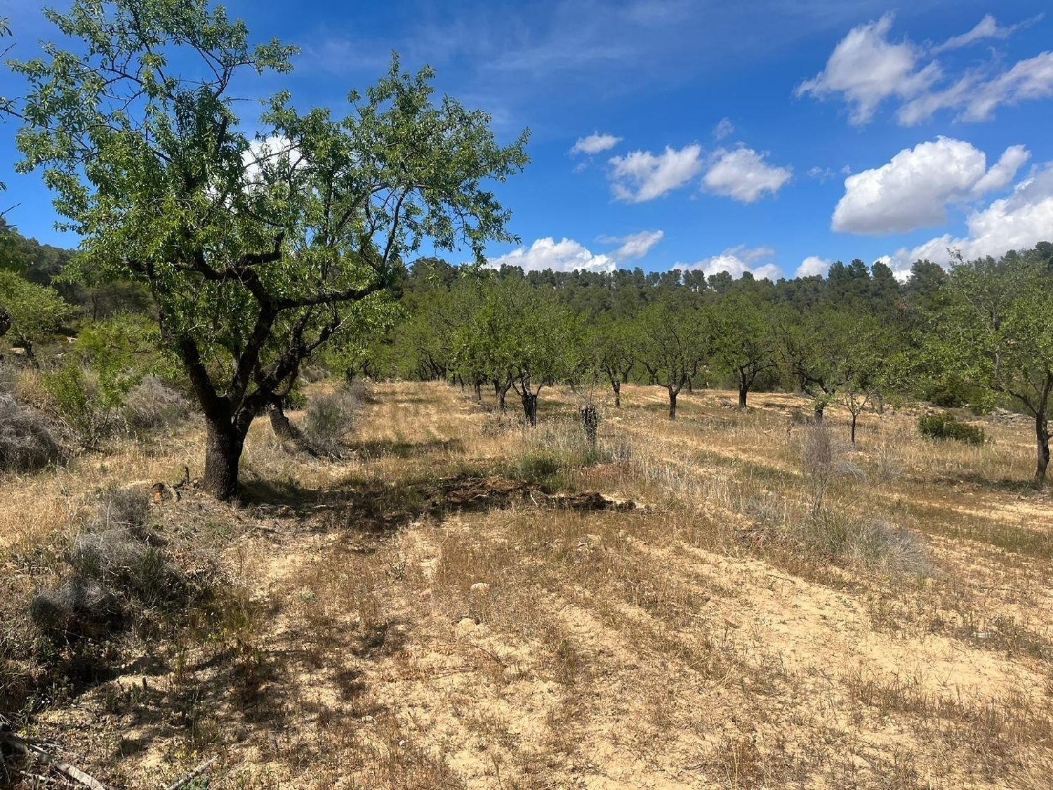  till salu hus på landet Horta De Sant Joan Terra Alta 8