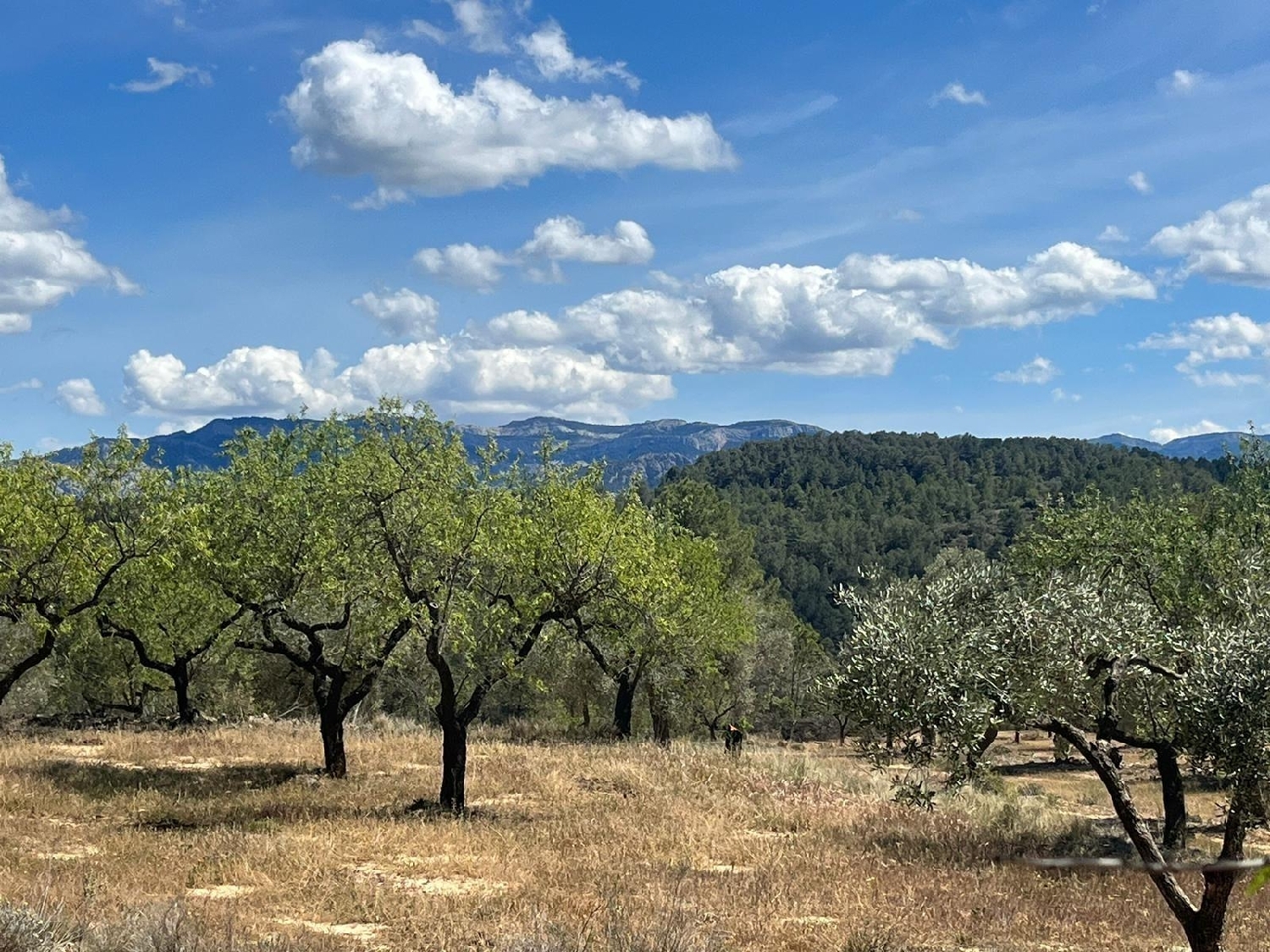  till salu hus på landet Horta De Sant Joan Terra Alta 5