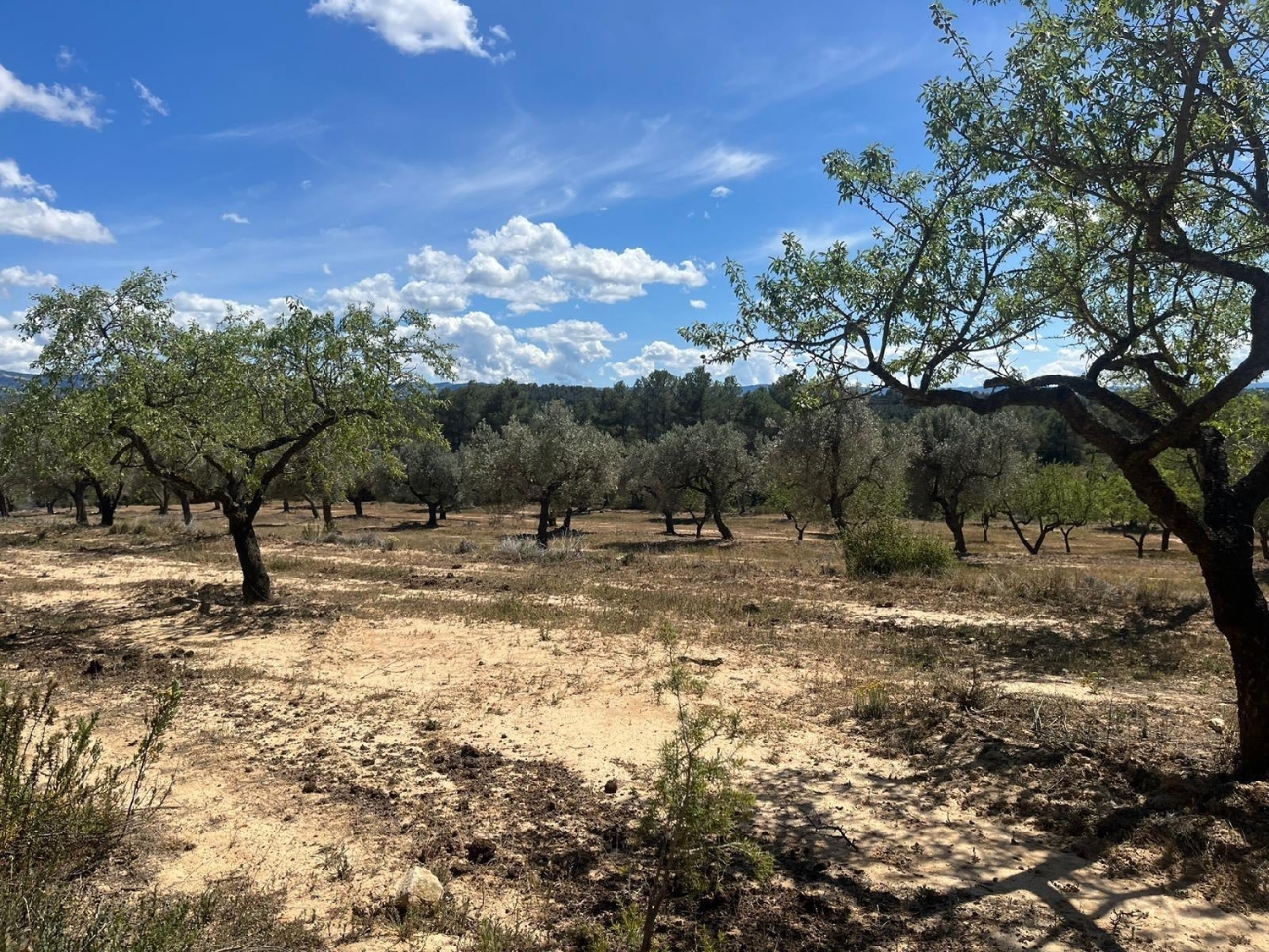  till salu hus på landet Horta De Sant Joan Terra Alta 6