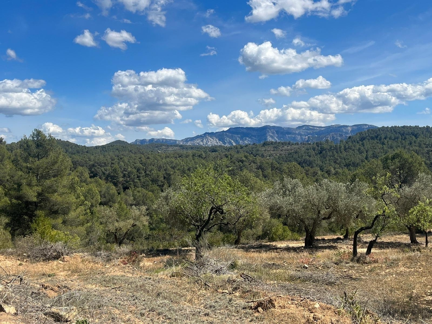  till salu hus på landet Horta De Sant Joan Terra Alta 4