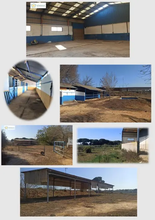 Barriada La Liebre Metropolitana De Sevilla hus på landet foto 6181443