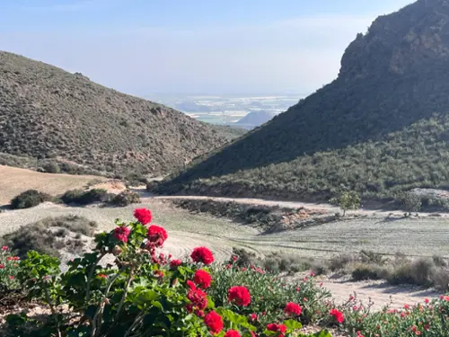 Horno Vega Alta Del Segura hus på landet foto 6213499