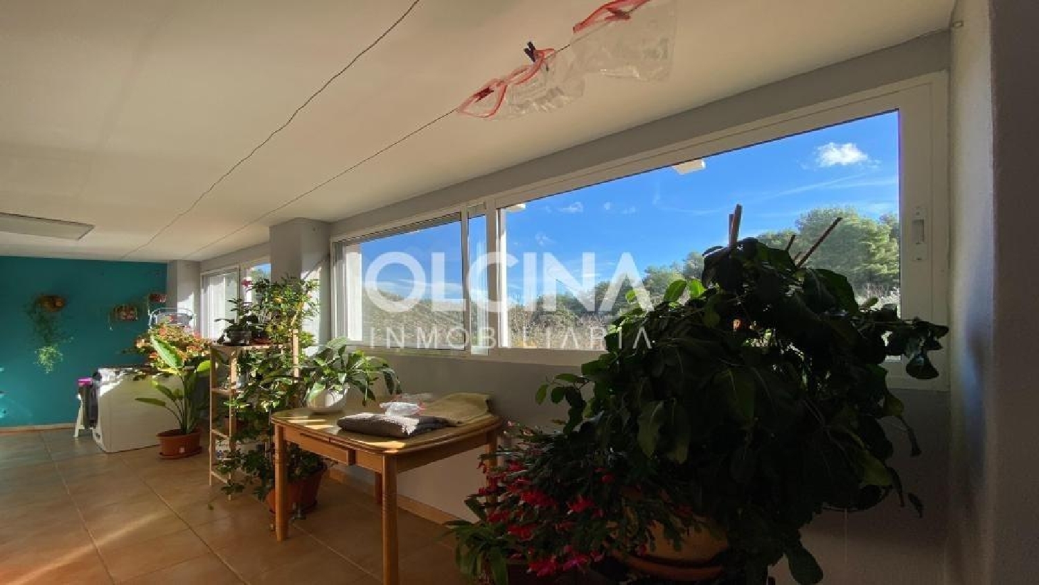 till salu hus på landet Ibi Alcoia 4