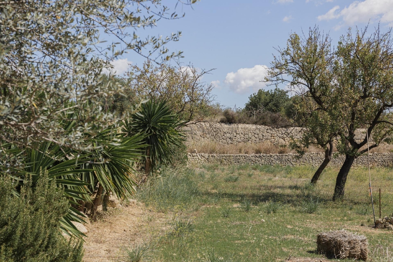  en venta finca rústica Inca Raiguer 5