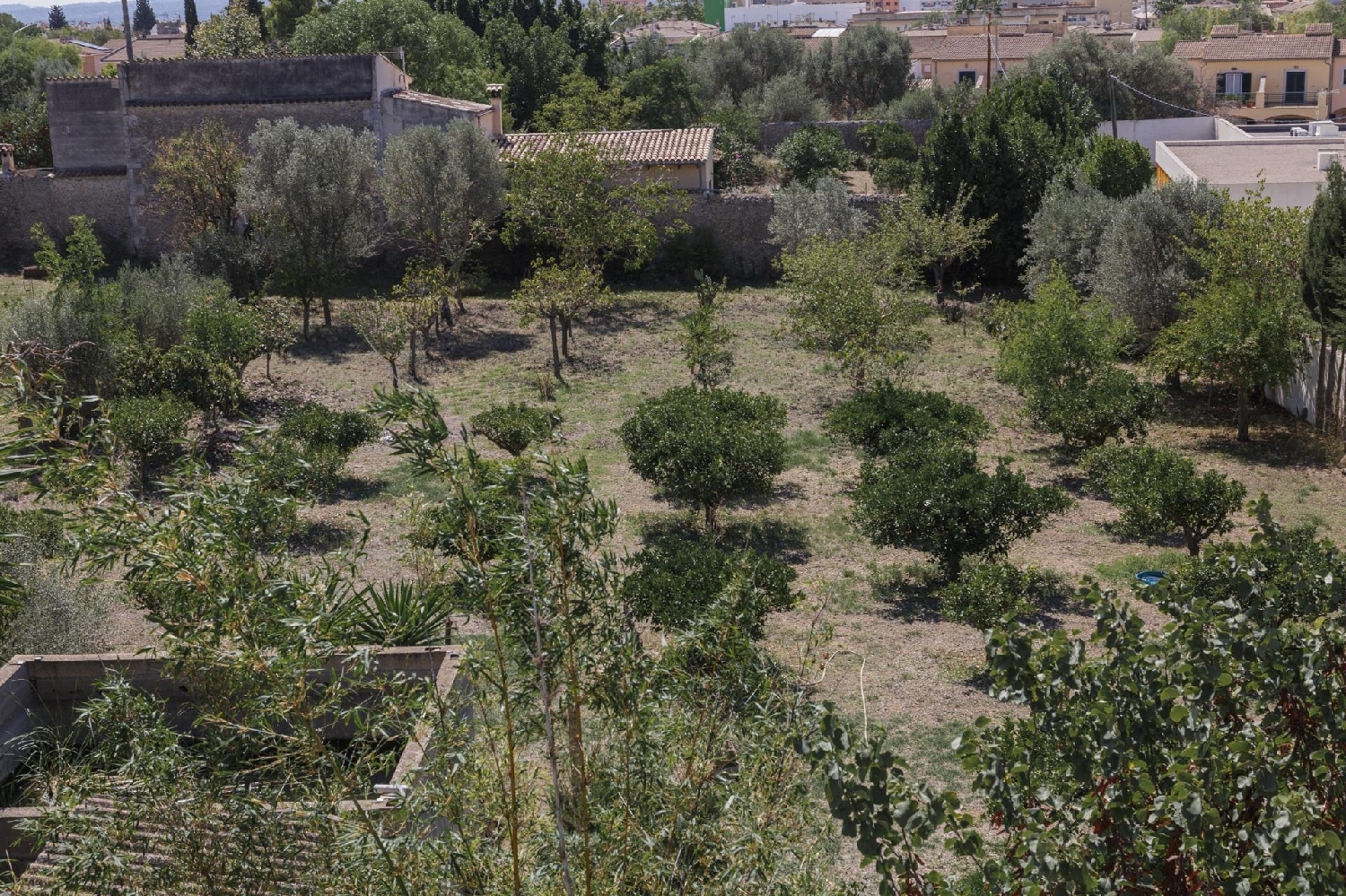  en venta finca rústica Inca Raiguer 2