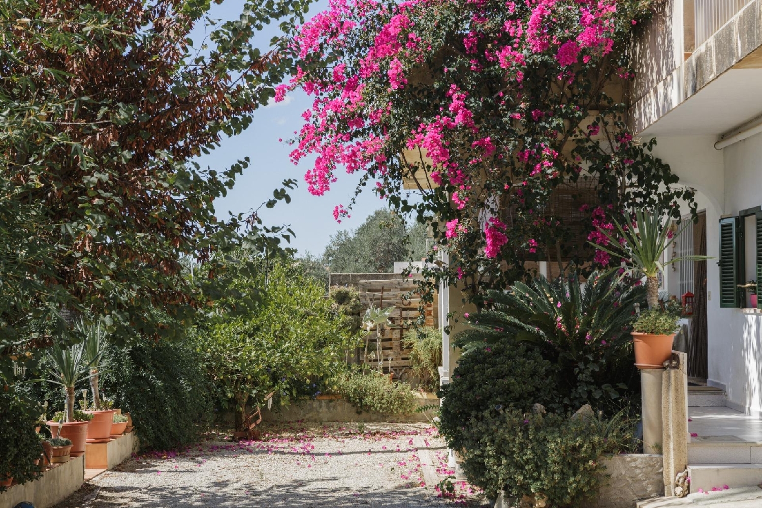  en venta finca rústica Inca Raiguer 7