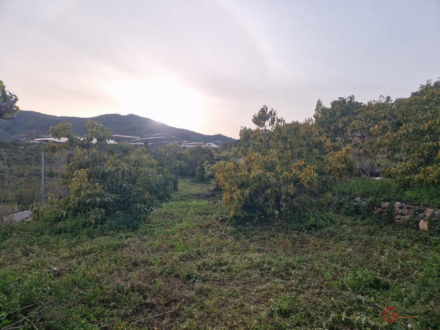 till salu hus på landet Ítrabo Costa Tropical 3