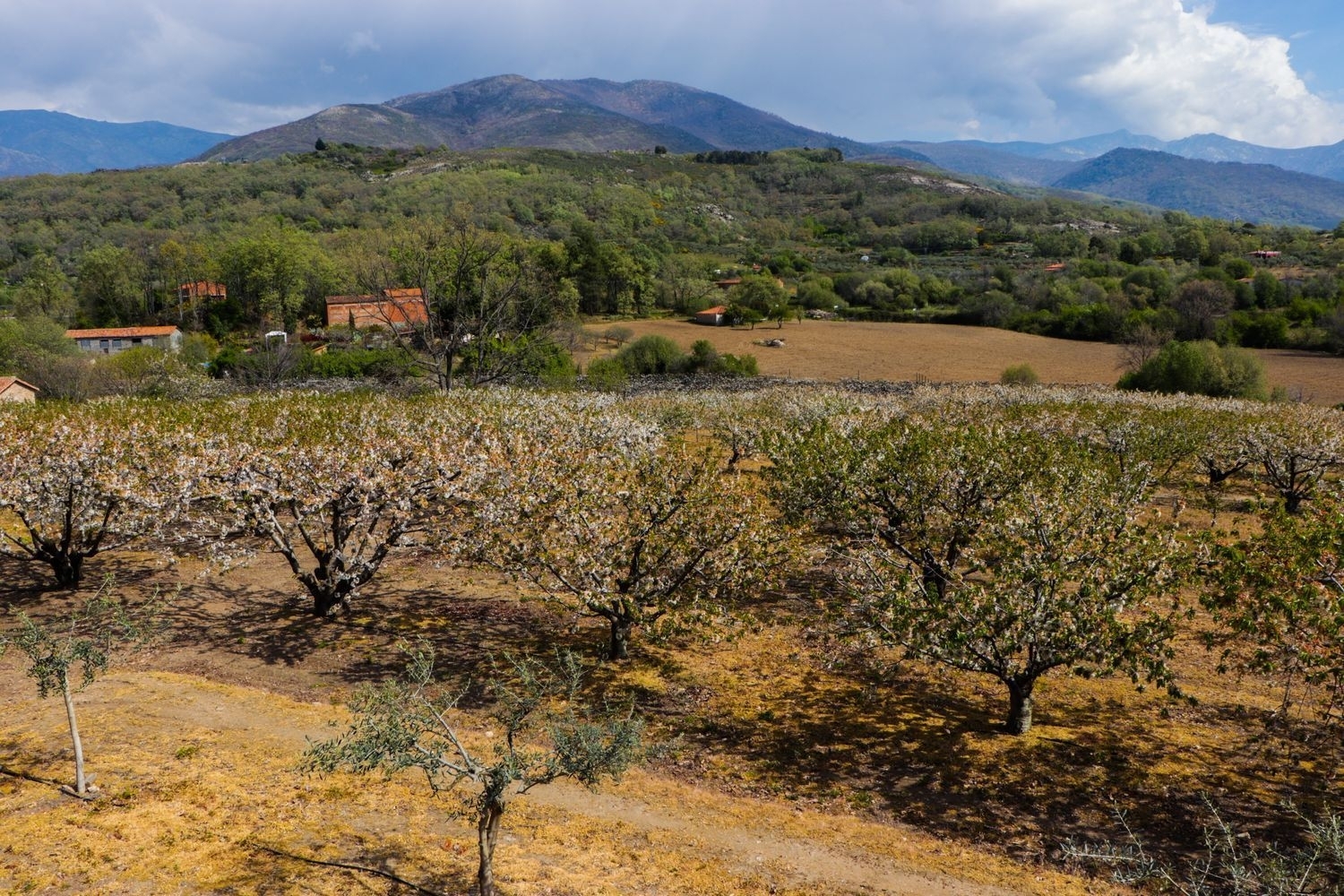  till salu hus på landet Jarandilla De La Vera La Vera 4