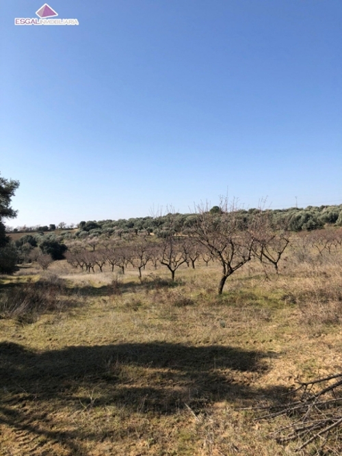 La Boquera Somontano De Barbastro hus på landet foto 6235349