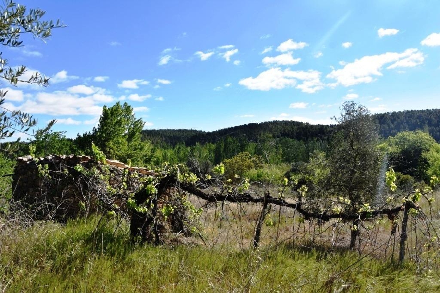  till salu hus på landet La Fresneda Matarraña 3