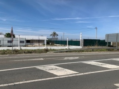 La Marina Baix Vinalopó hus på landet foto 6231679