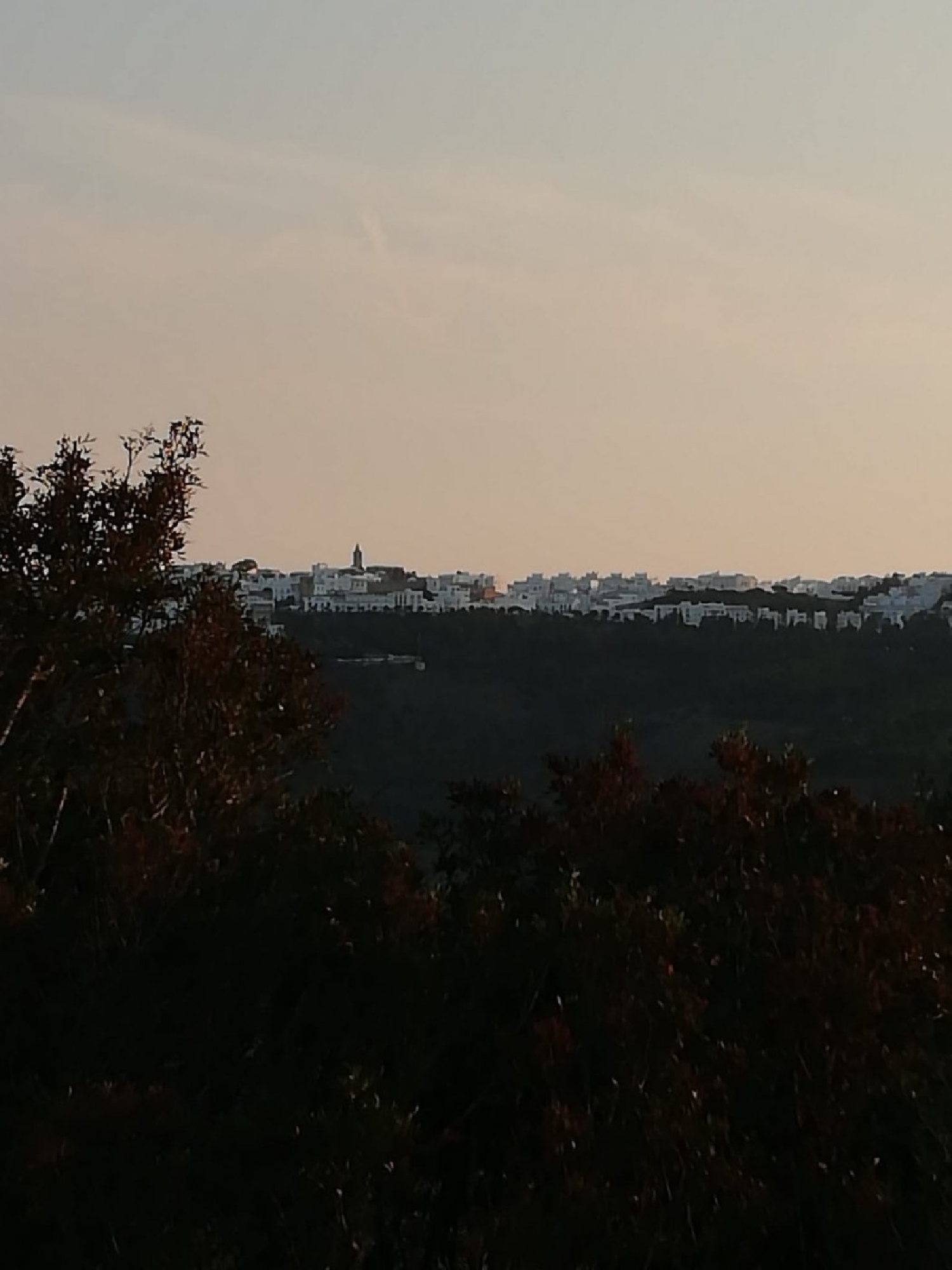 till salu hus på landet La Muela Janda (La) 2