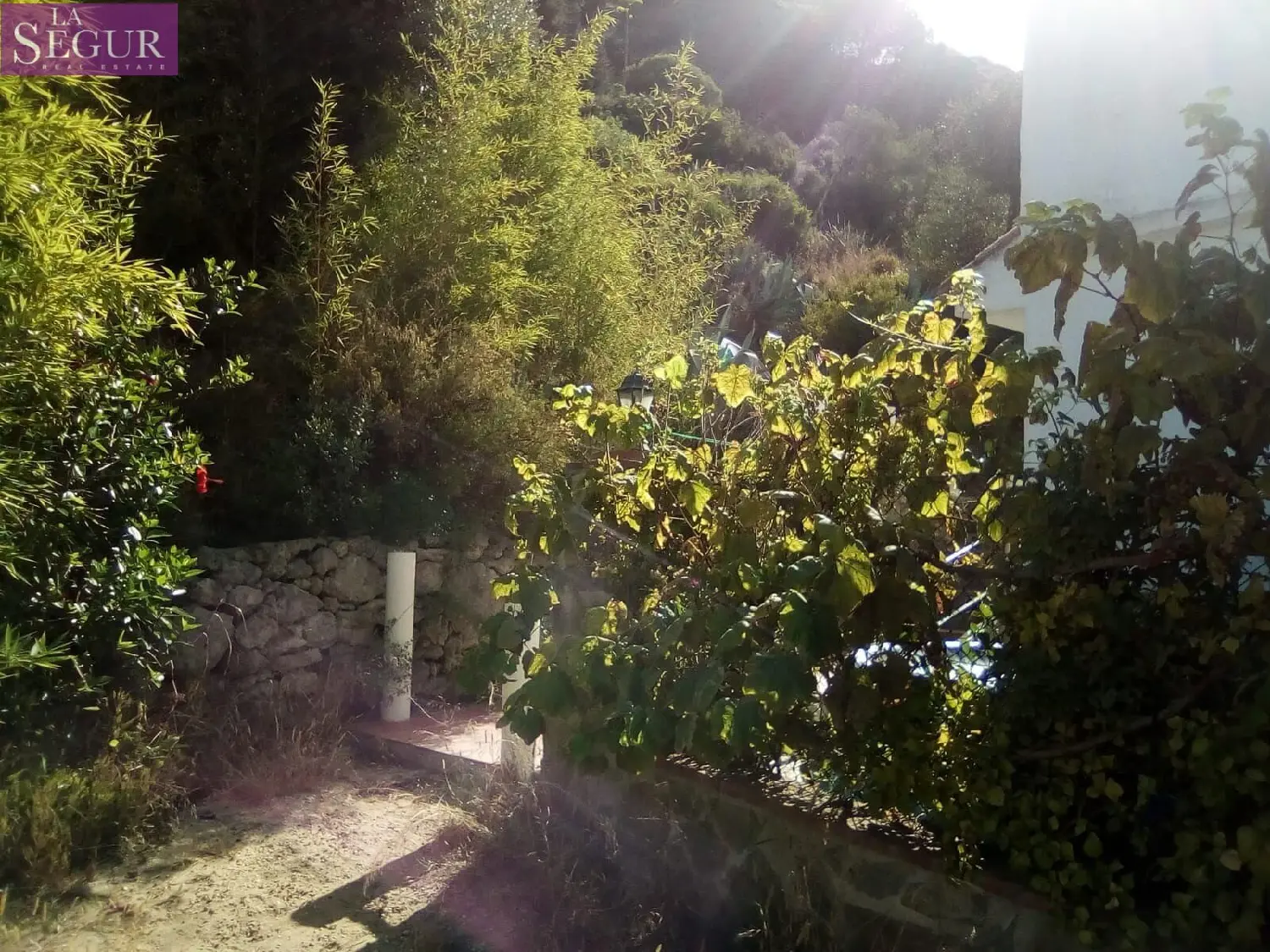 till salu hus på landet Vejer De La Frontera Janda (La) 2