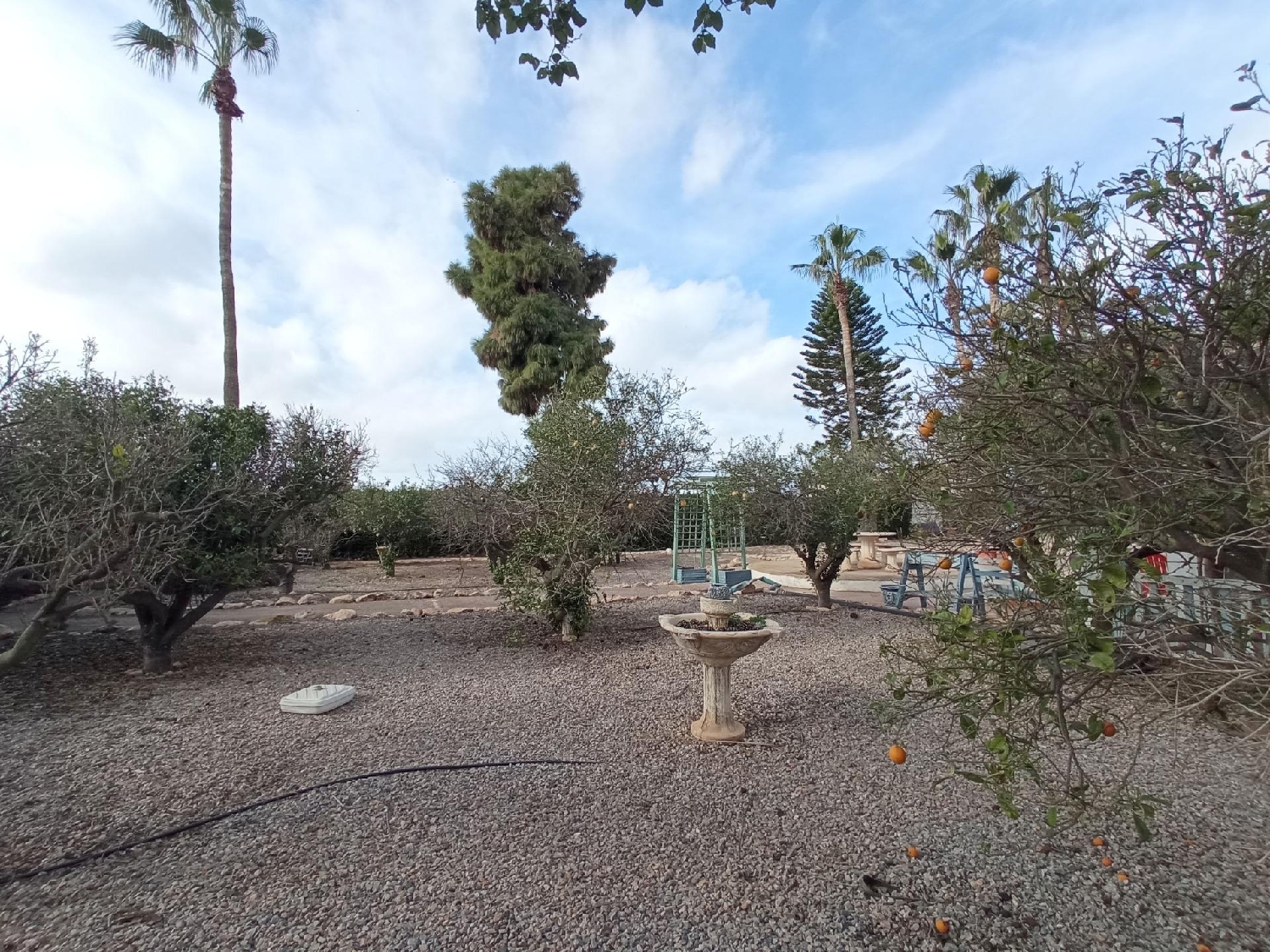  till salu hus på landet La Palma Campo De Cartagena 8