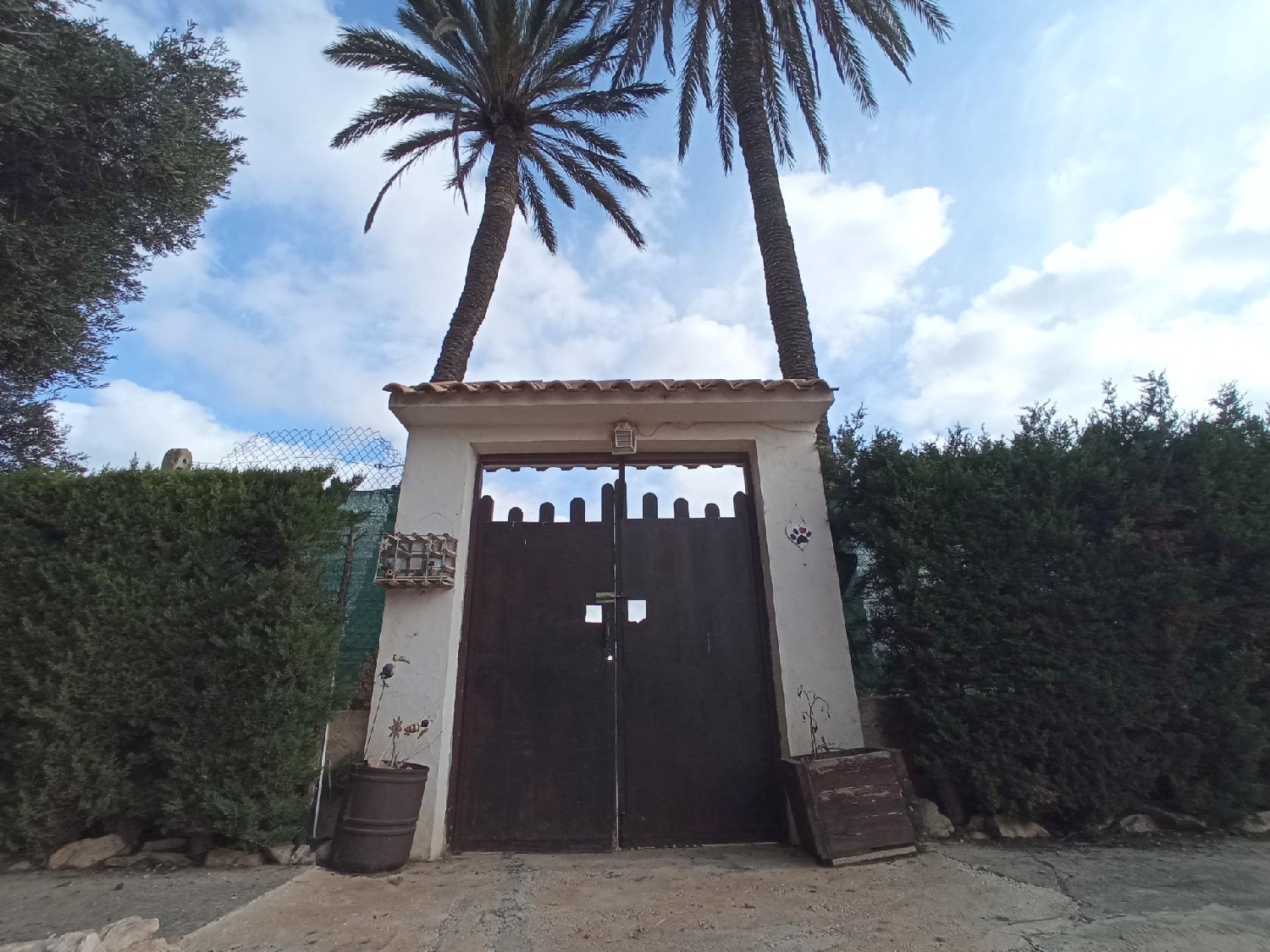  till salu hus på landet La Palma Campo De Cartagena 2