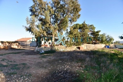 La Pinilla Campo De Cartagena hus på landet foto 6258875